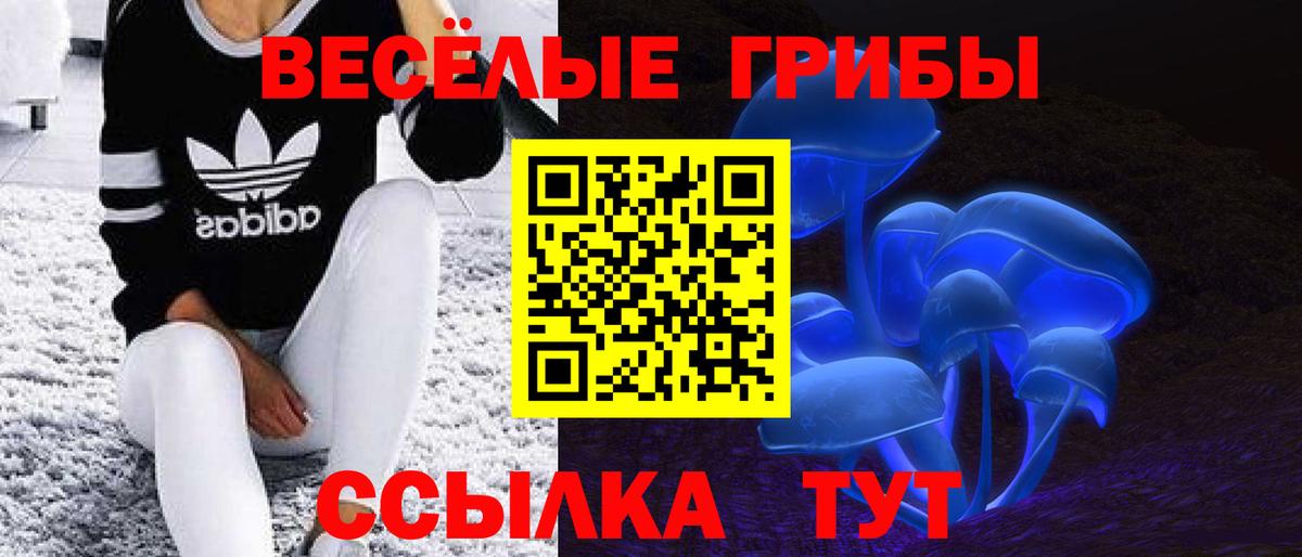Туймазы  Псилоцибиновые грибы ЛСД  Псилоцибиновые грибы MAGIC MUSHROOMS  Вход с VPN 