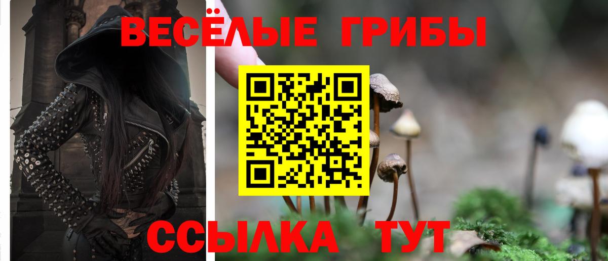 Псилоцибиновые грибы Cubensis Туймазы